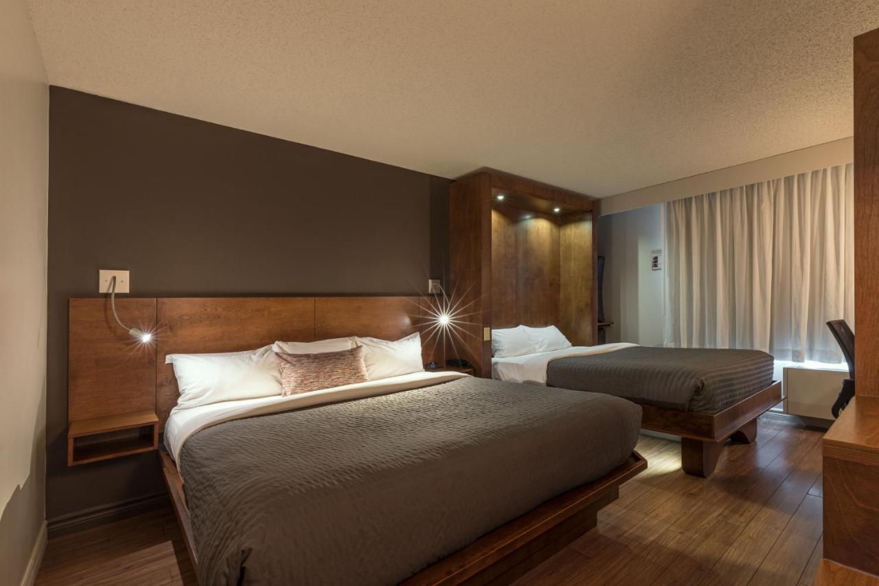 Superior King Room - Double occupancy