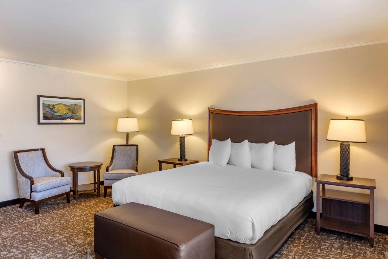 Oversized King Room - Non-Smoking