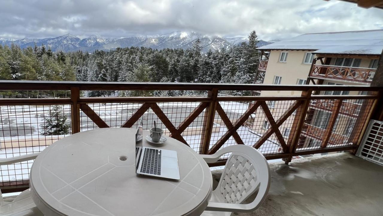 1 Bedroom Apartment mountain view