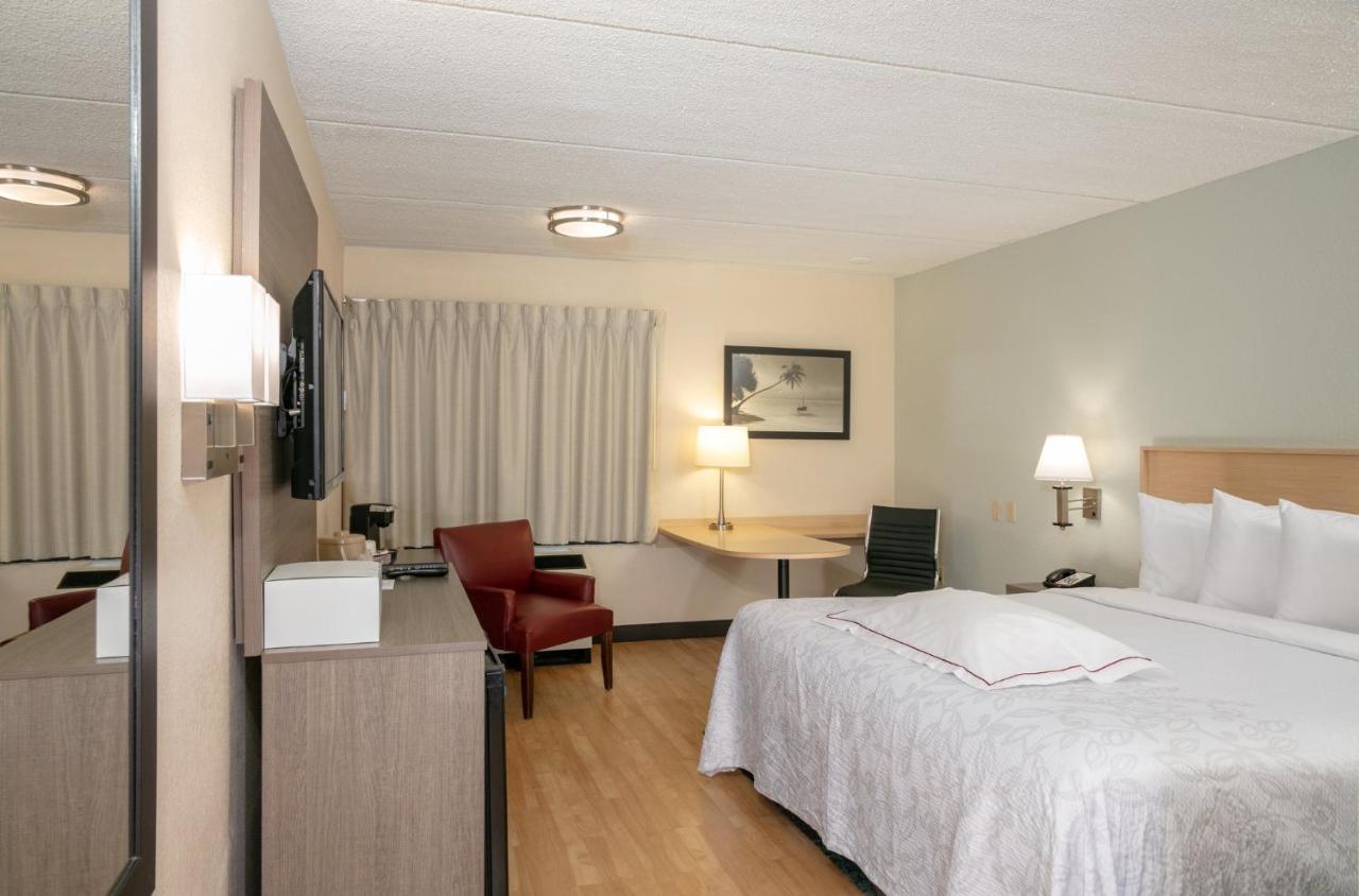 Habitación Premium adaptada para personas con discapacidad, con ropa de cama de categoría superior y caja de aperitivos - 1 cama extragrande - No fumadores