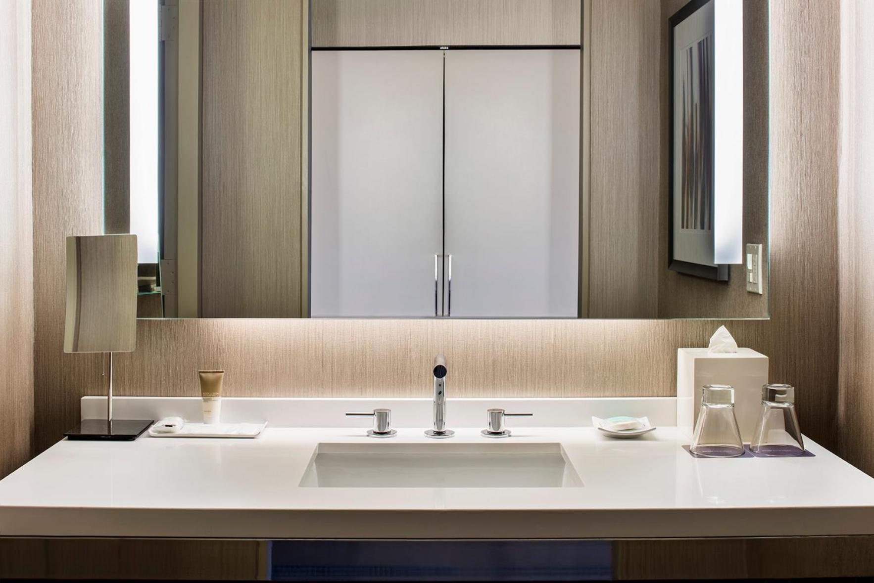 King Room Shower Mobility Accessible