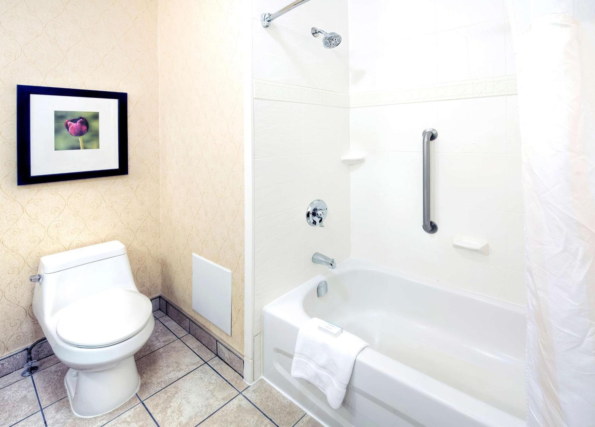 Standard King Room Bathtub