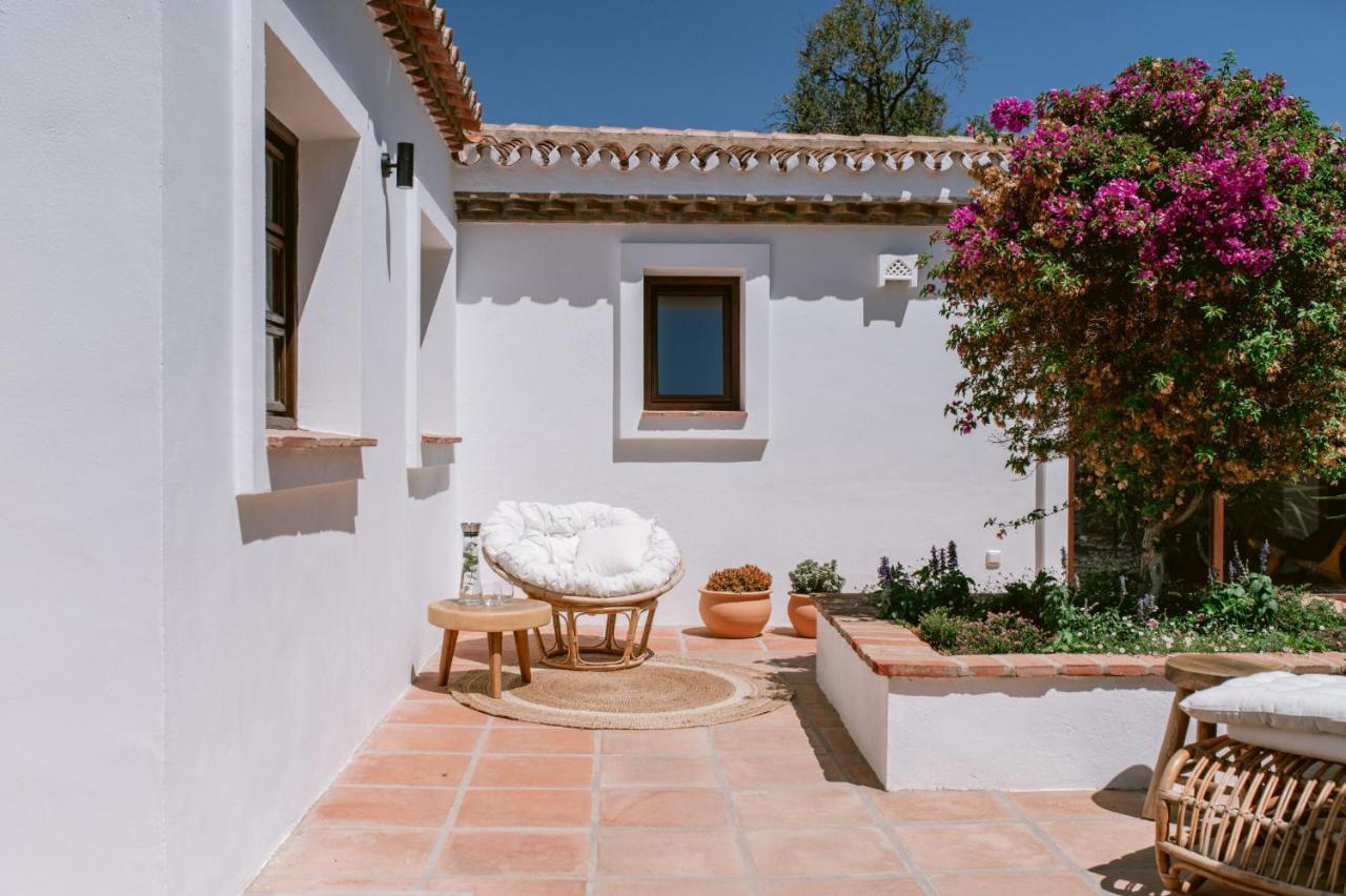 Studio Terrace