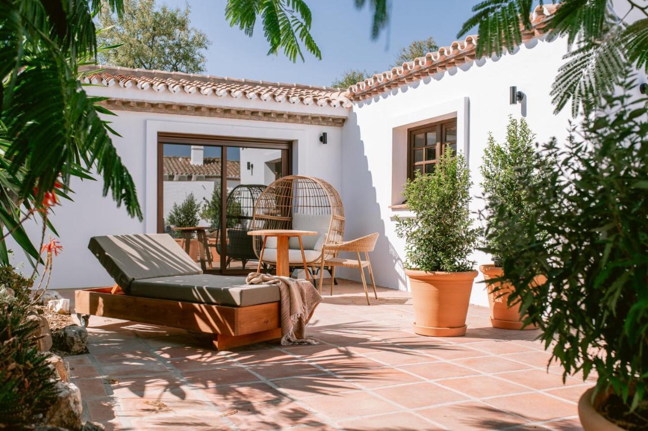 Studio Terrace
