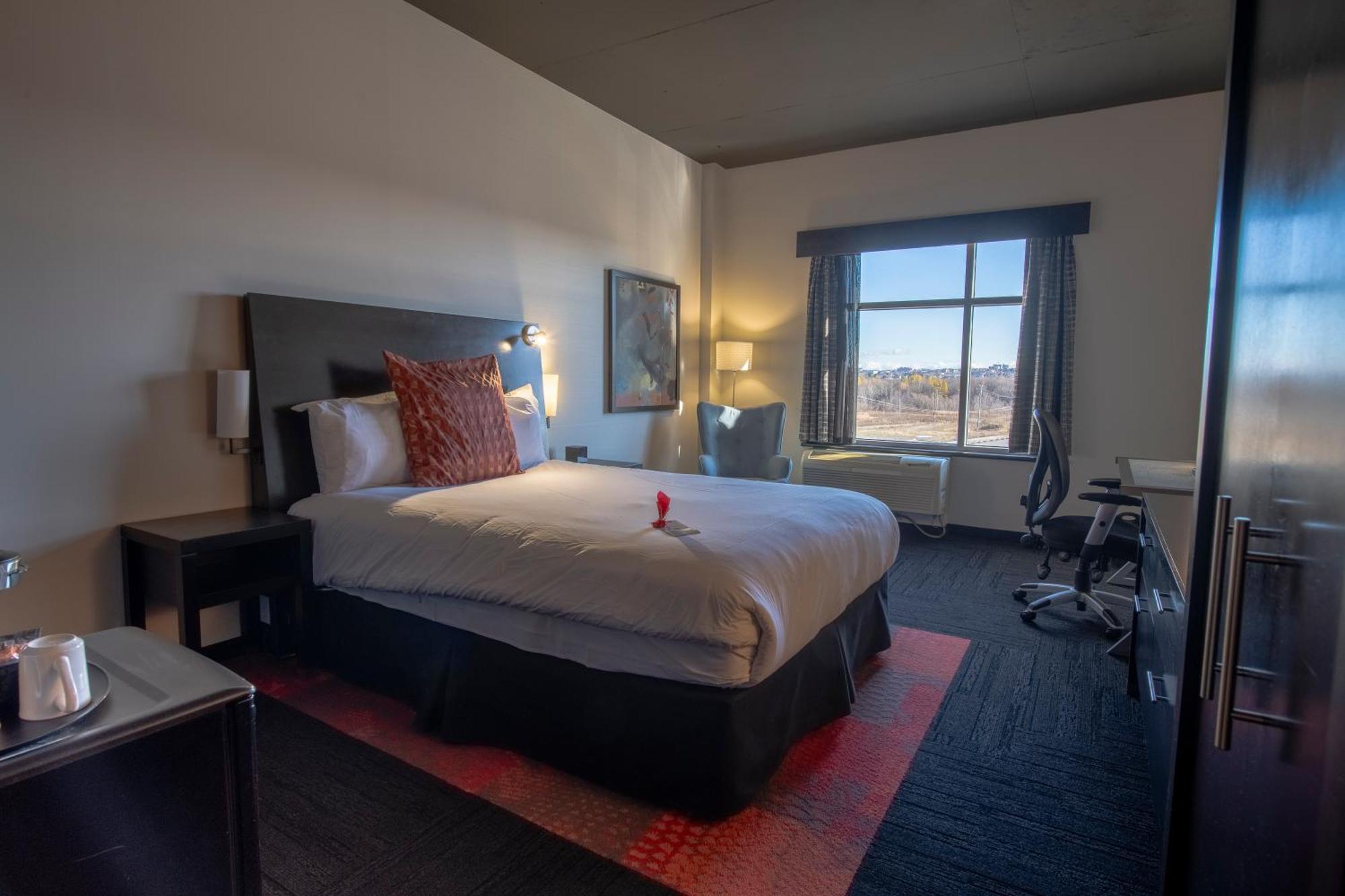 Comfort Queen Room