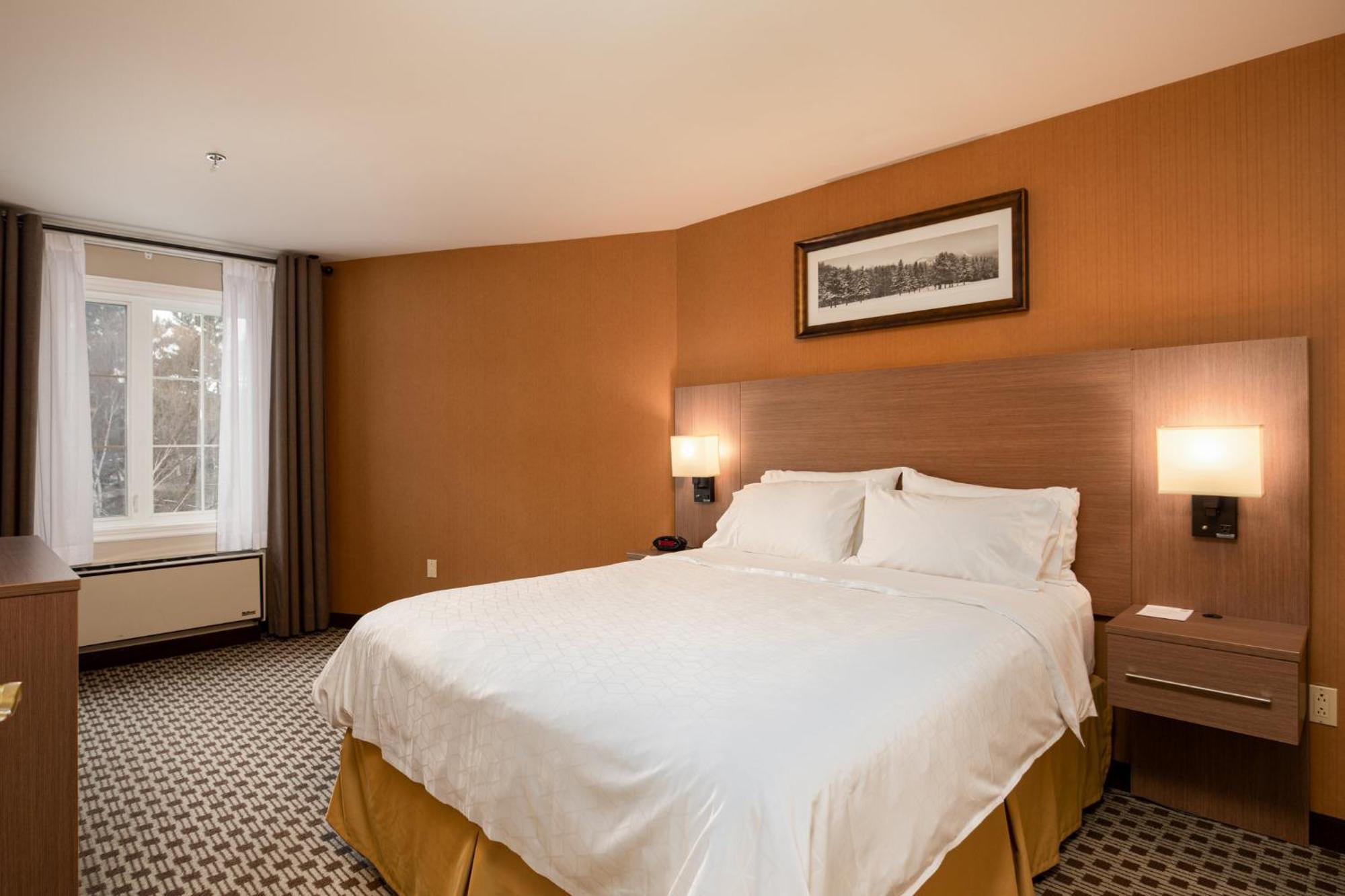 One-Bedroom Queen Suite