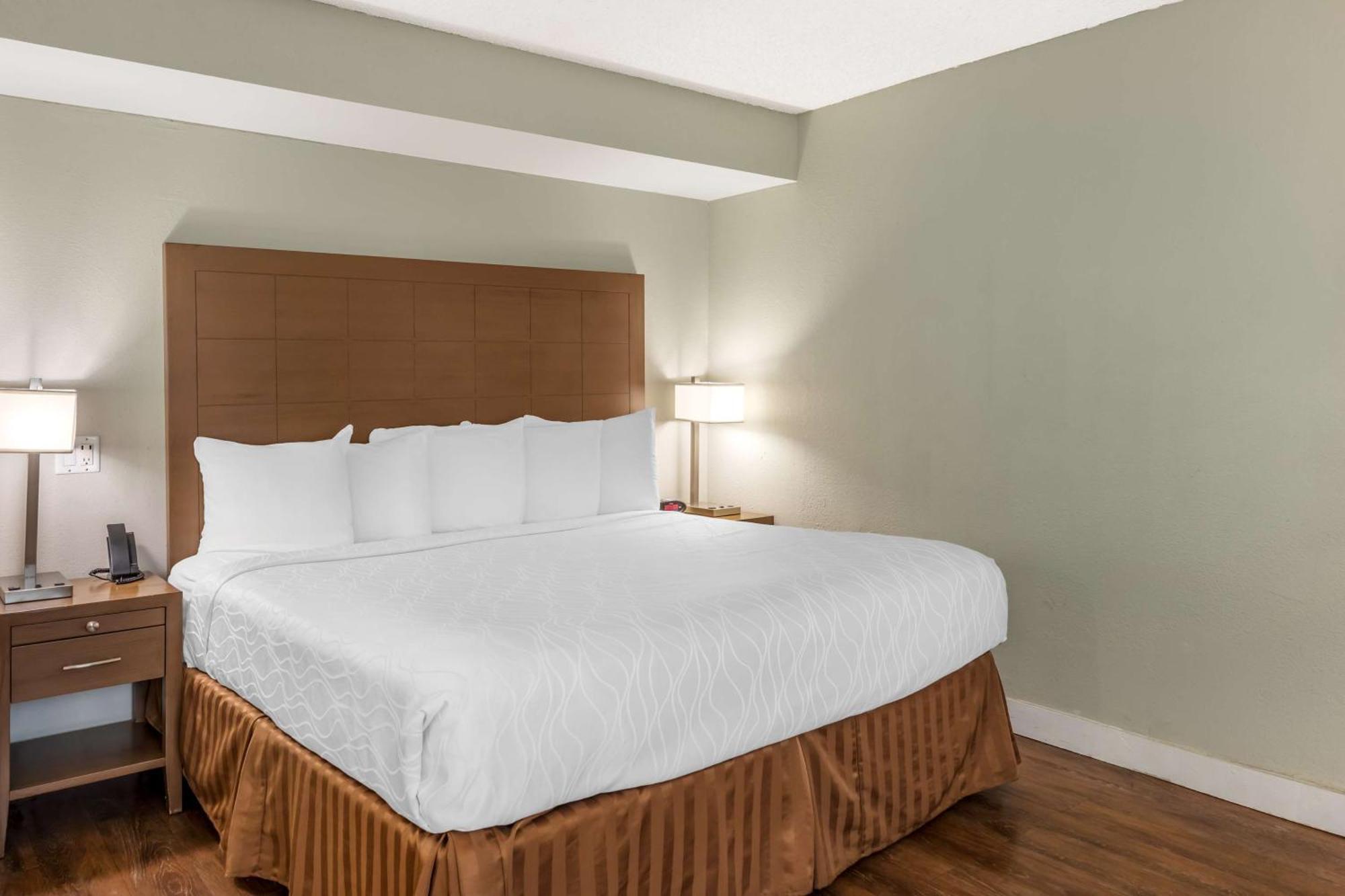 King Room - Non-Smoking,1586109306:JPEG