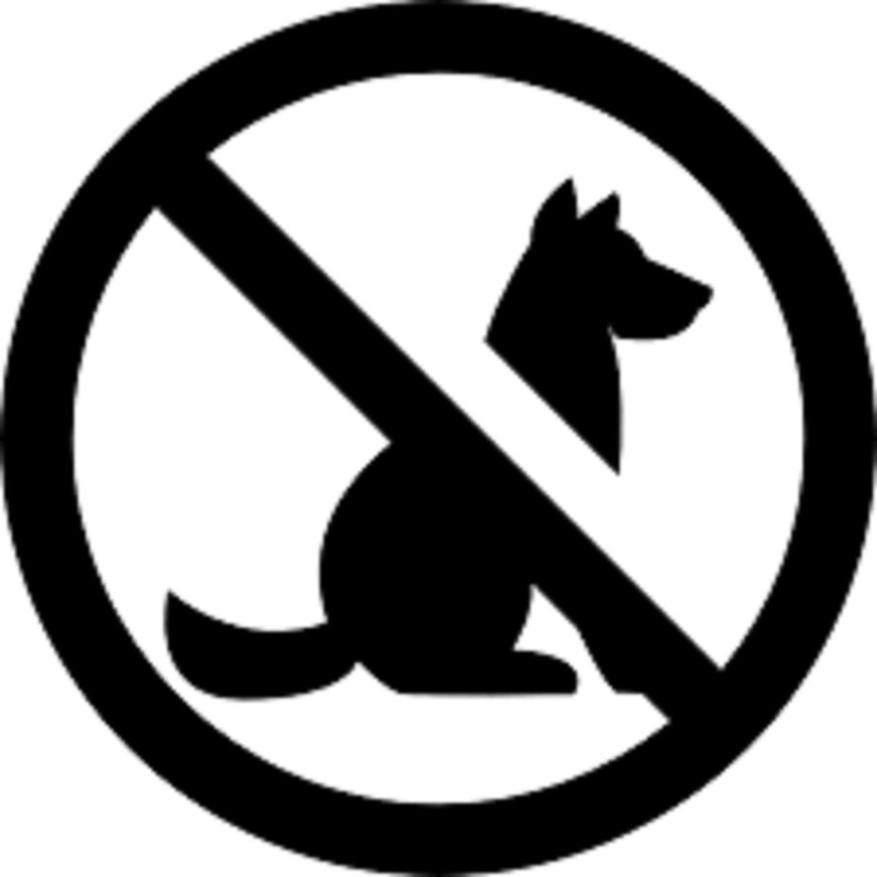Apartment Hopfensee Lake View 512 no pets allowed