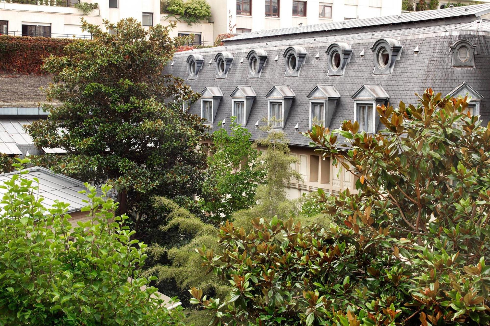 Suite Junior