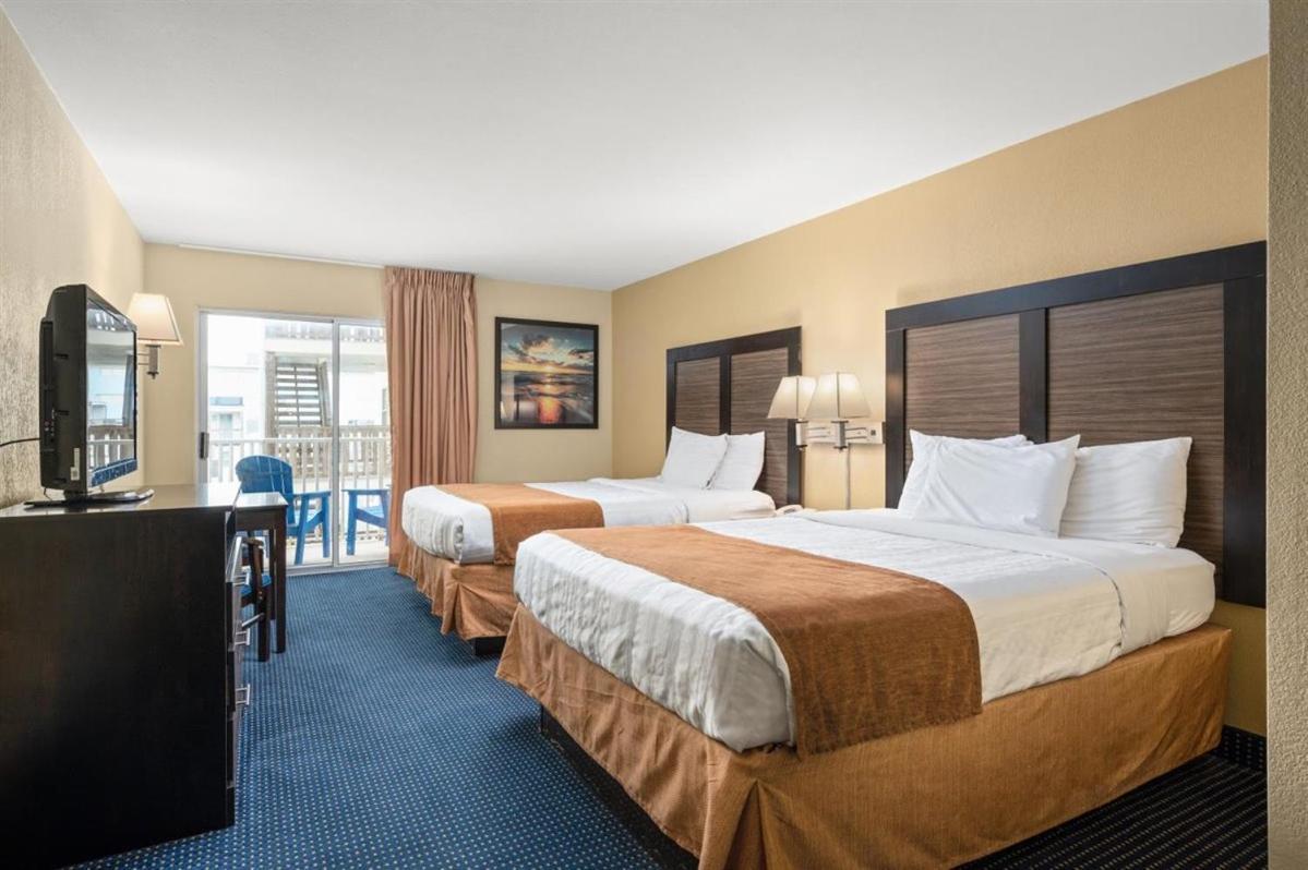 Standard View Room 2 Queens-Pet Friendly