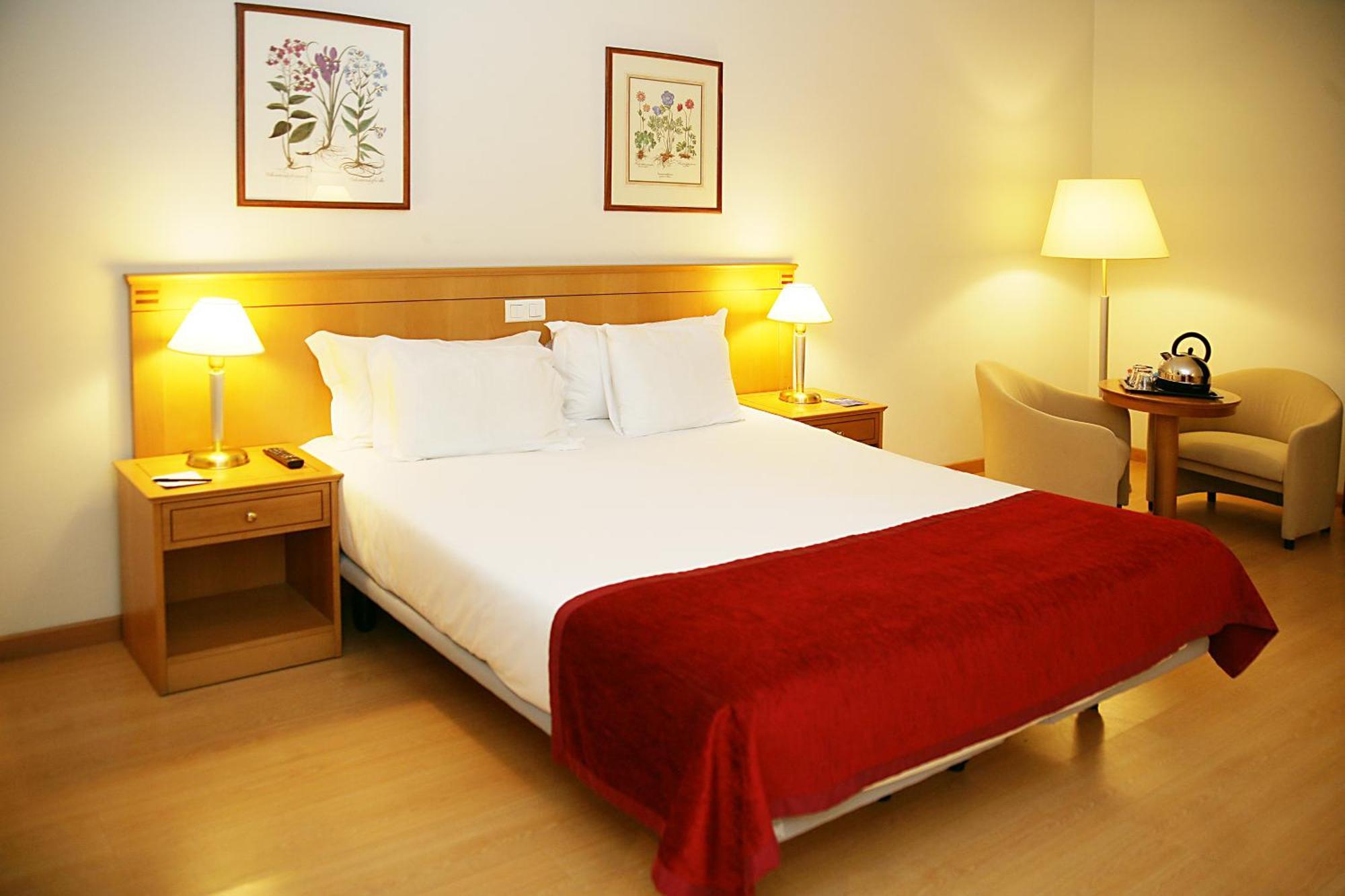 Habitación Prémium con 1 cama doble - No fumadores