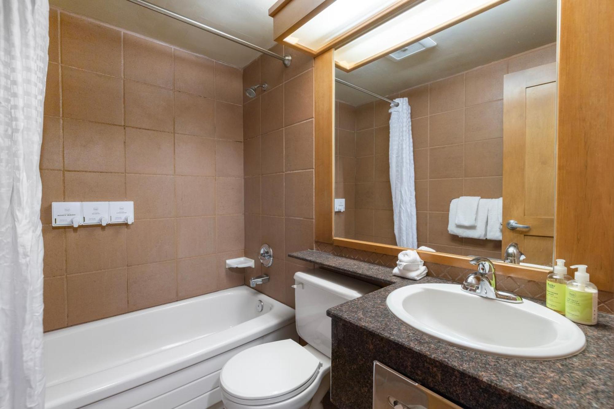 Deluxe One-Bedroom Apartment 1 Queen