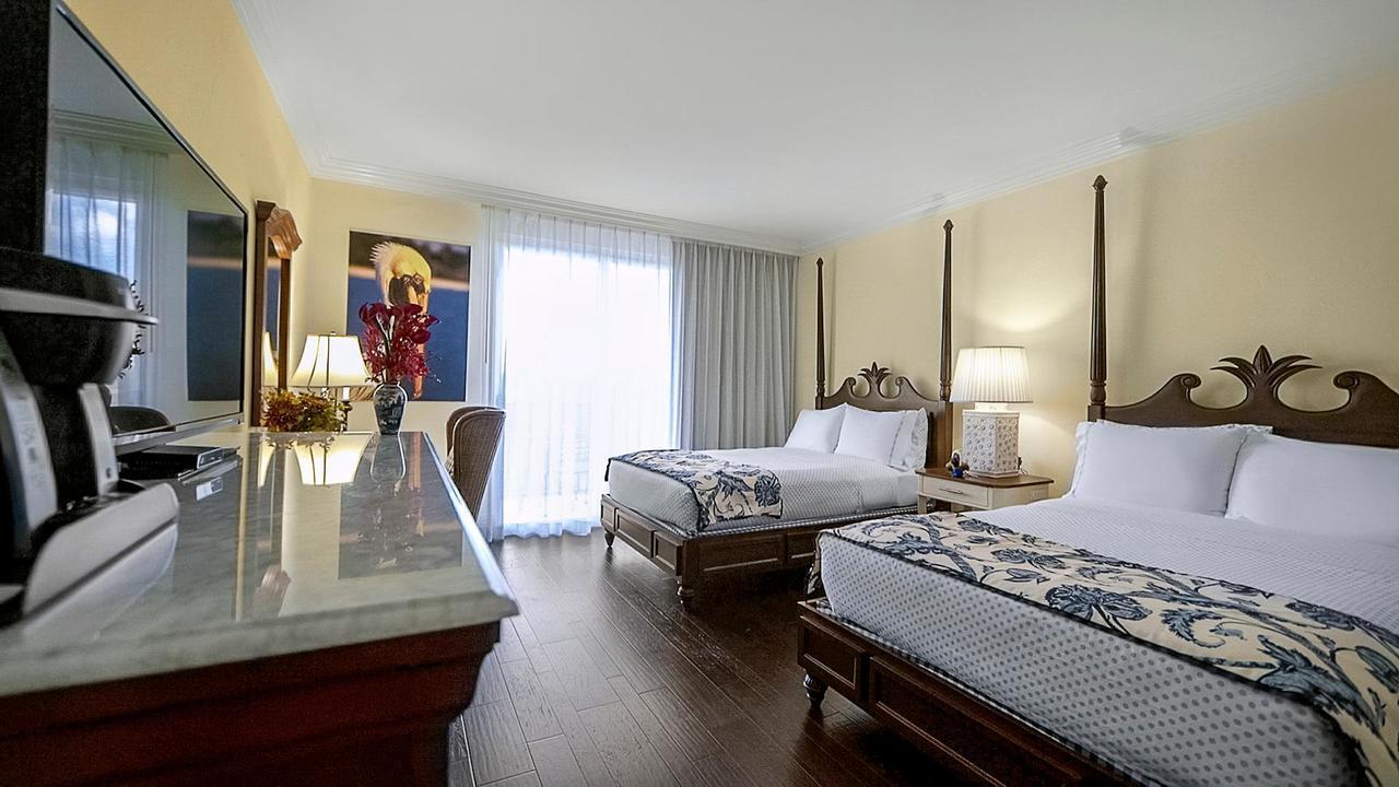 Double/ Double Room with City View,244430989:JPEG
