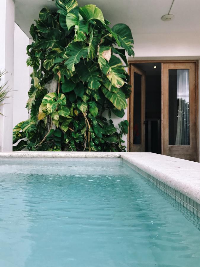 Terrace Executive Suite,654331977:JPEG