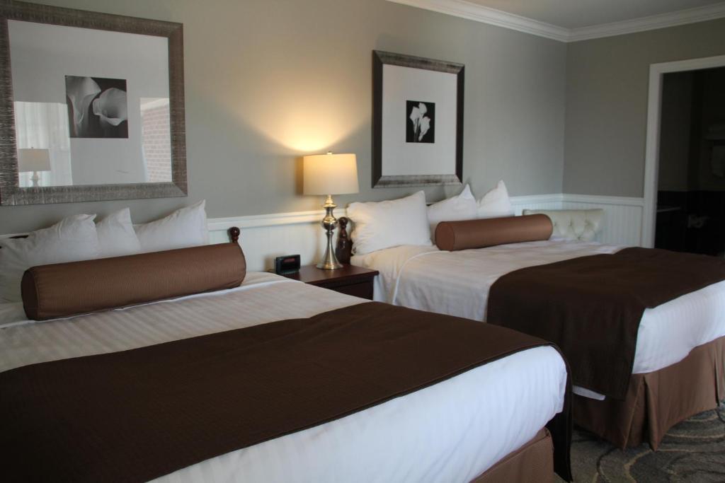 Deluxe Queen Room Two Queen Beds