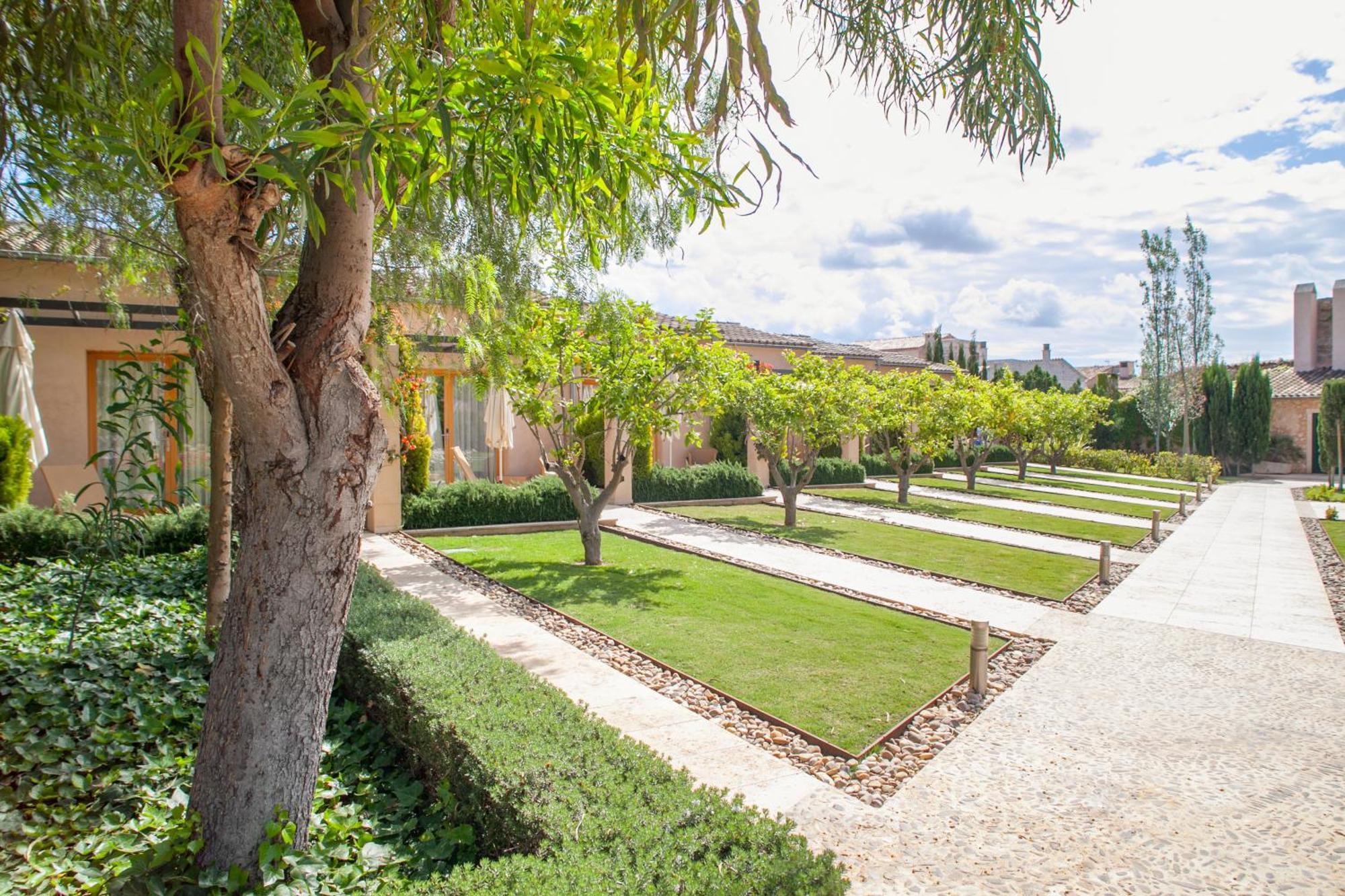 Double or Twin Room Terrace