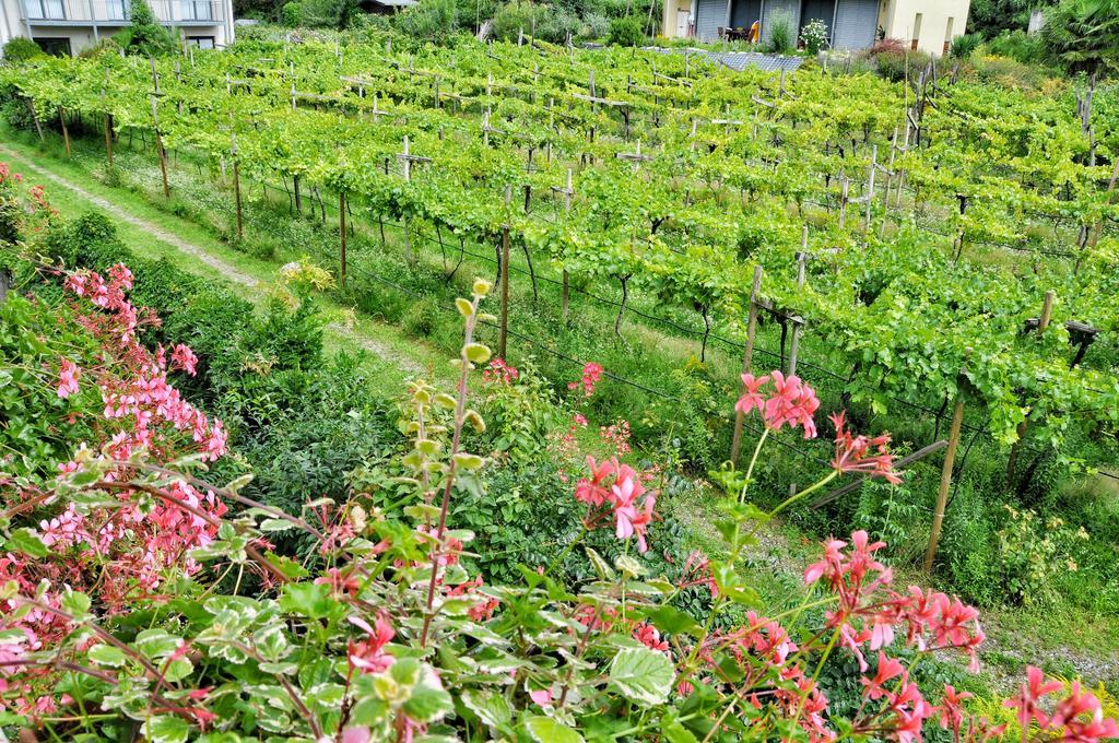 Twin Room with Balcony,401838225:JPEG