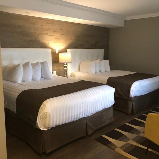 Deluxe Queen Room Two Queen Beds