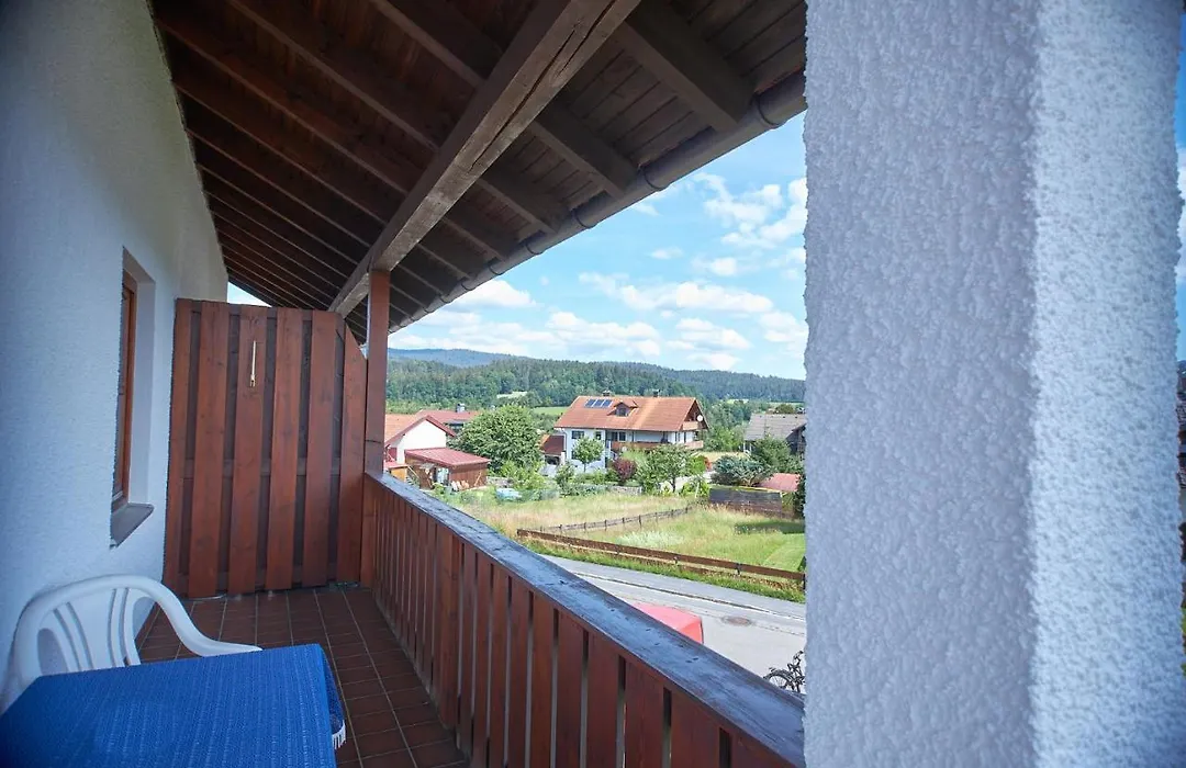 Aparthotel Zwiesel-1