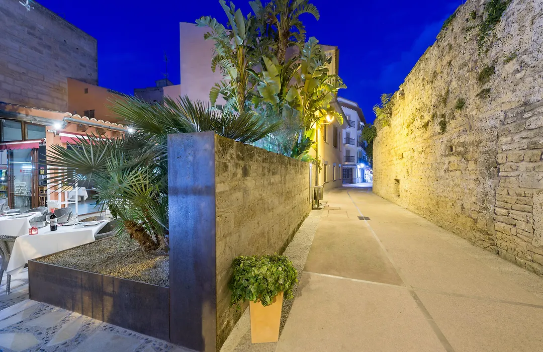 Alcudia Petit - Turismo de Interior-1