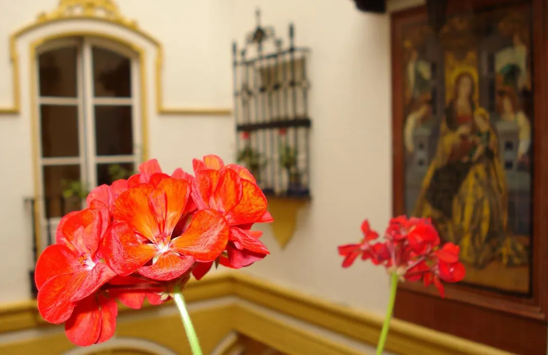 Hotel Abanico-1