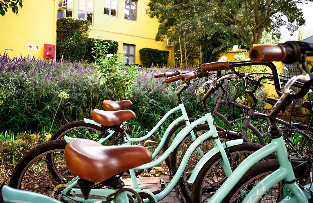 Franschhoek Country House & Villas-1