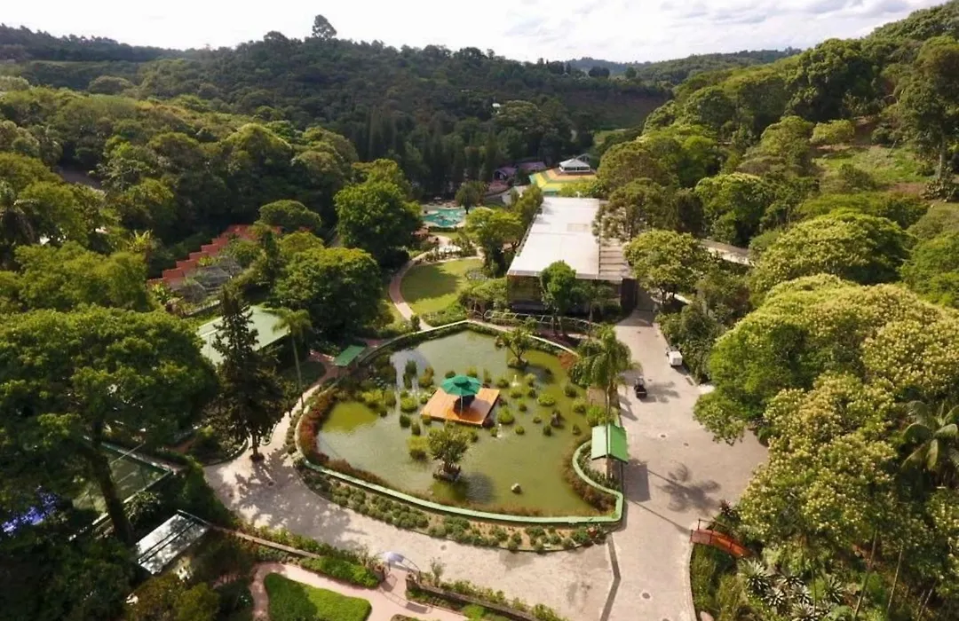 Unique Garden-1