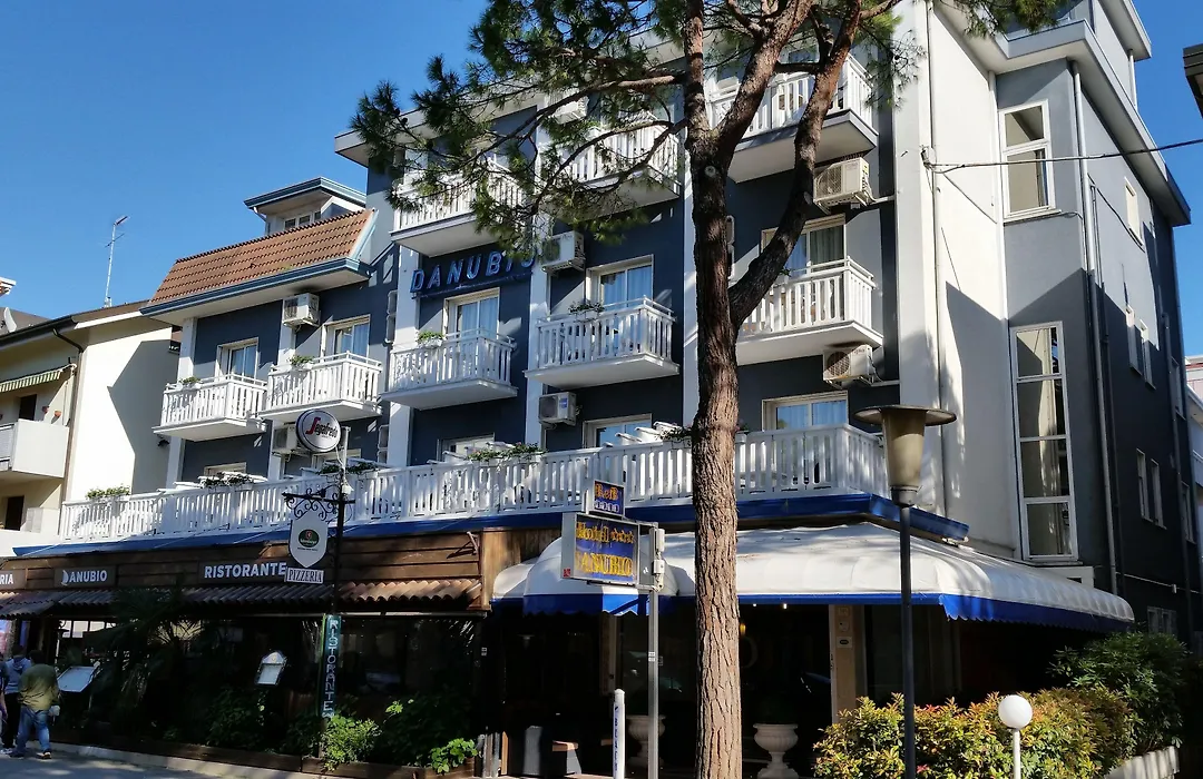 Hotel Danubio-1