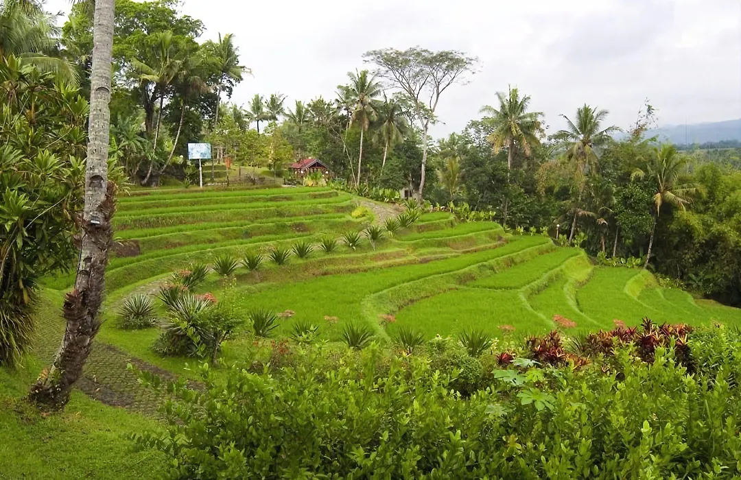 Puri Asri Hotel & Resort-1
