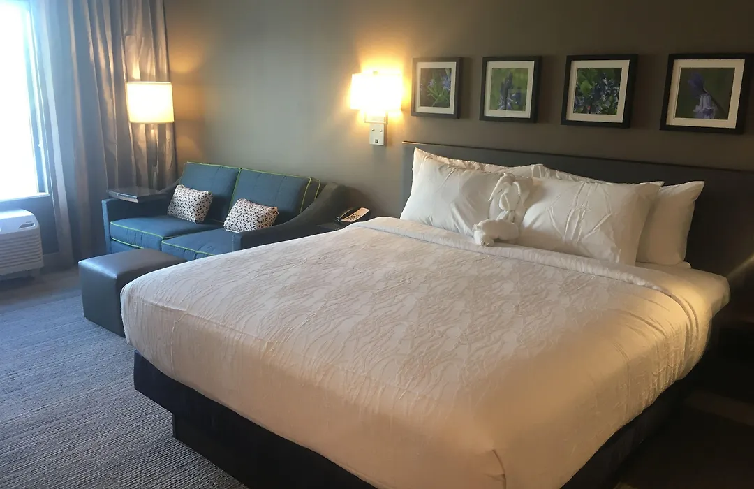 Hilton Garden Inn Austin Airport-1