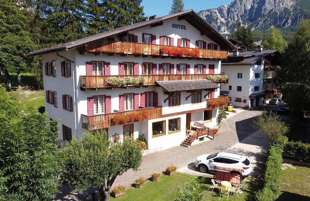 Hotel Bellaria-1
