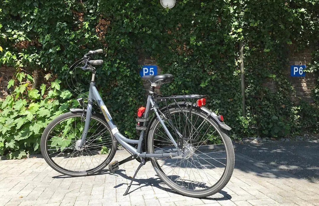 Ferrotel Duisburg - Partner Of Sorat Hotels-1