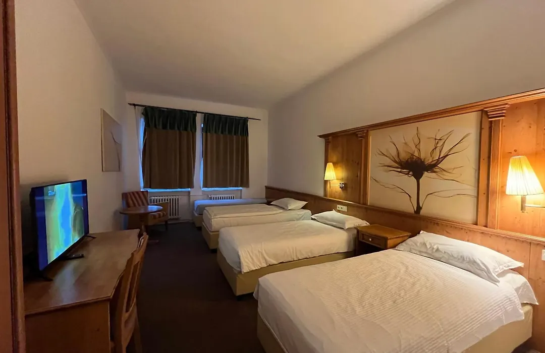 Hotel Branik-1