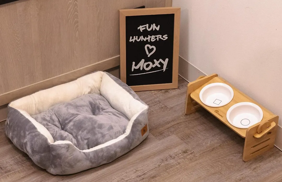 Moxy Osaka Honmachi-1