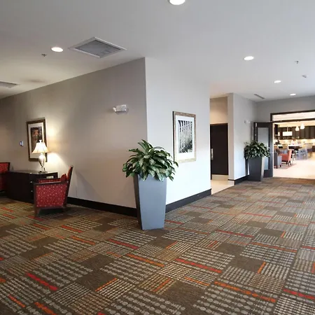 Hilton Garden Inn Findlay-2