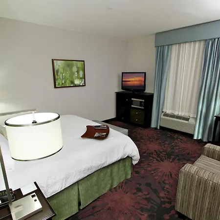 Hampton Inn & Suites Winnie-3
