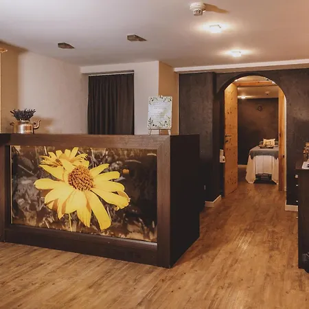 Hotel DIE SONNE-3