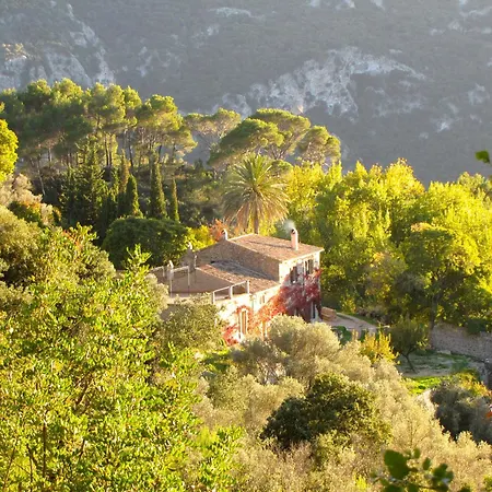 Mirabo De Valldemossa-2