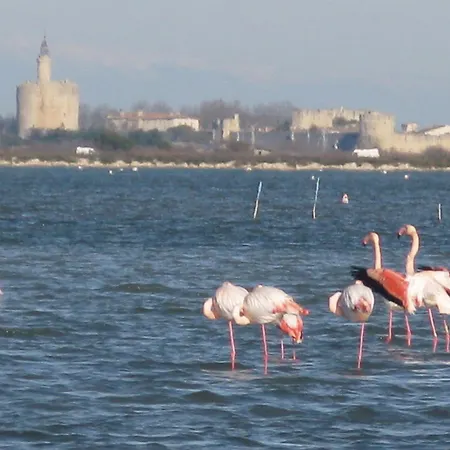 Hotel Les Templiers-2