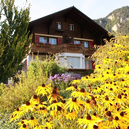 Adventure Guesthouse Interlaken-3