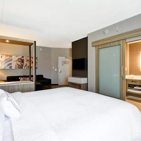 Springhill Suites By Marriott Cincinnati Blue Ash-3