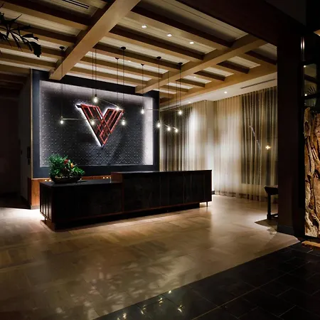 Hotel Vin, Grapevine, Autograph Collection-3