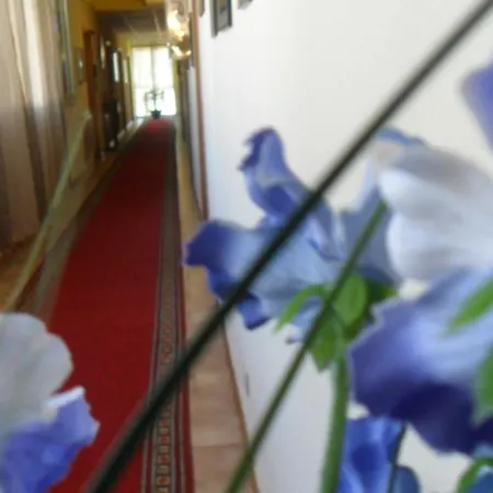 Hotel Nazionale-2