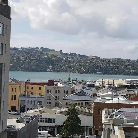 Fable Dunedin-2