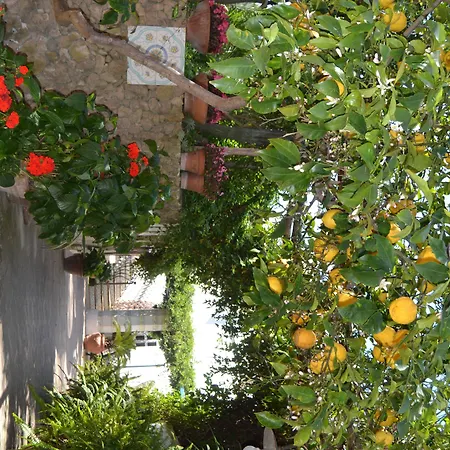 Piccolo Tirreno Hotel Residence-2