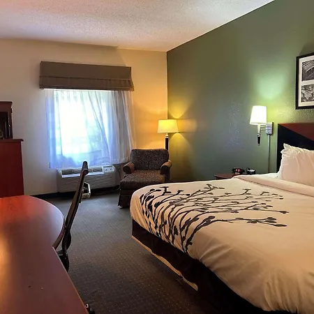 Sleep Inn & Suites Airport-3