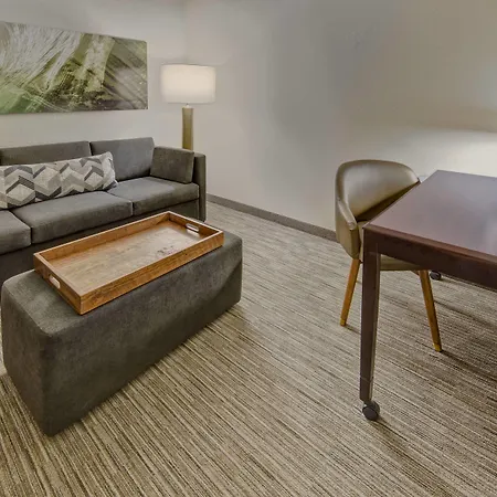 Springhill Suites By Marriott Naples-3
