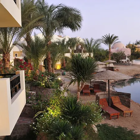 Dawar El Omda (Adults Only)-3