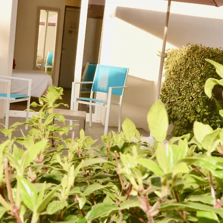 Hotel Villa Sophia - Adults Only July And August-3