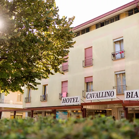 Hotel Cavallino Bianco-3